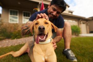 Lost Pet Prevention Month: Dog Safety Tips