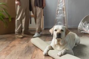 Popular Dog Names & What They Mean