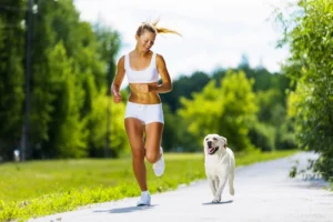 PrecisionGPS™: The Most Powerful GPS Dog Fence & Tracking Technology for Your Canine