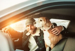 Top 10 Dog Travel Accessories