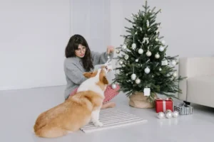 The Best Ideas for Custom Dog Ornaments