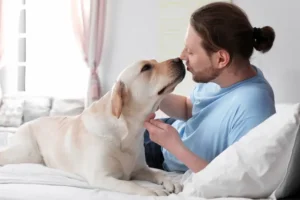 Understanding Your Dog’s Love Language