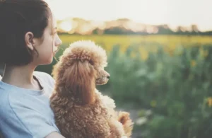 Navigating the World of Emotional Support Dogs: A Comprehensive Guide