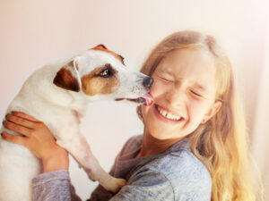 Why Does Your Dog Lick You?
