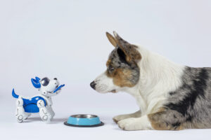 The Best Pet Tech Products to Buy this Black Friday & Cyber Monday