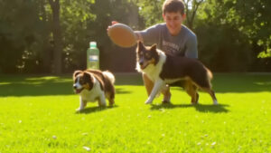 How Long Does It Take to Train a Dog?