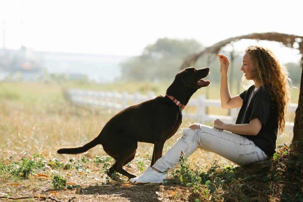 A girl sitting on the ground with a dog, laughing and playing in a field.