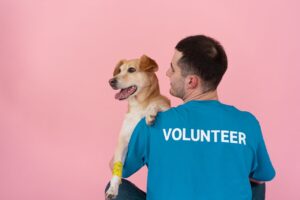 Essential Dog First Aid Kit: Discover the Must-Have Items for Emergencies