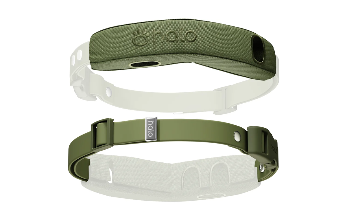 Halo Collar with Pro Case and Strap Kit in Ranger