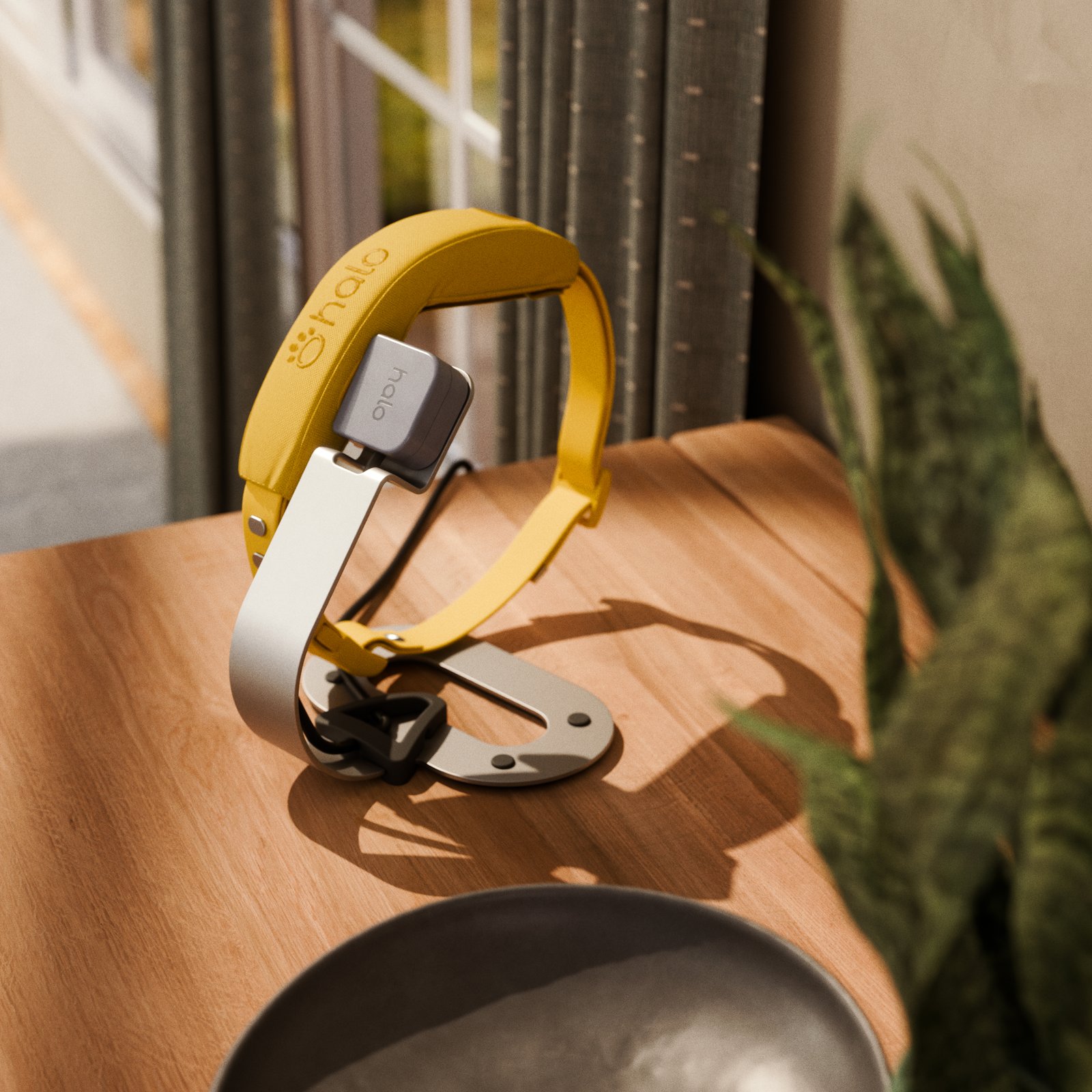 Halo Collar charging on a stand in a home entryway
