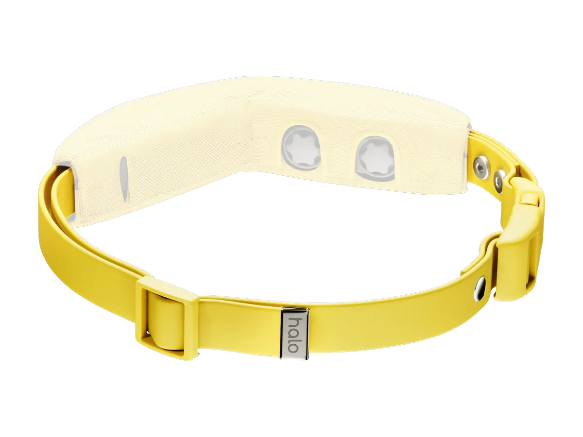 Collar Strap Kit