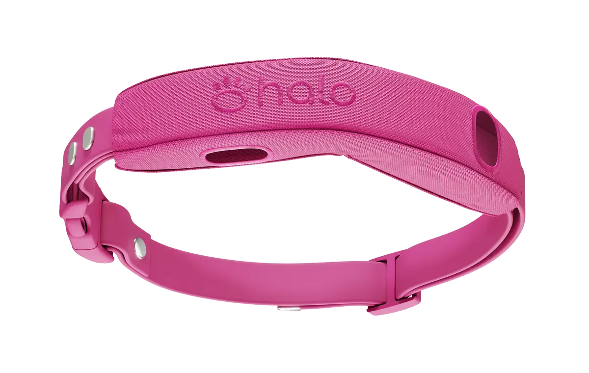 Pro Case + Strap Kit