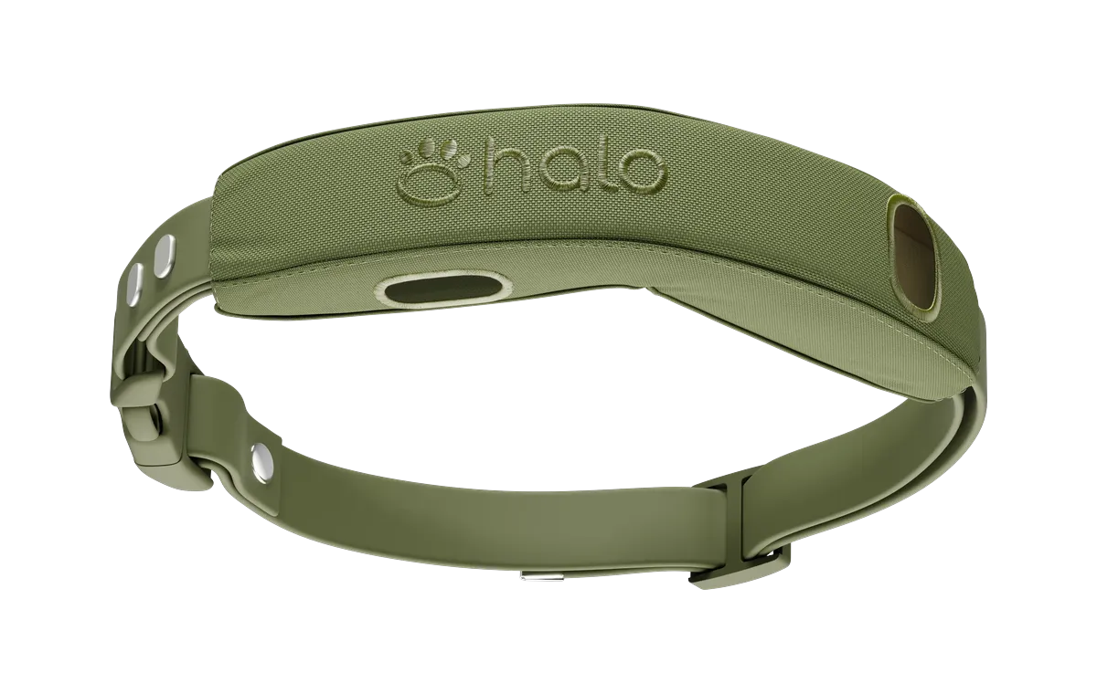 Halo Collar with Pro Case and Strap Kit in Ranger