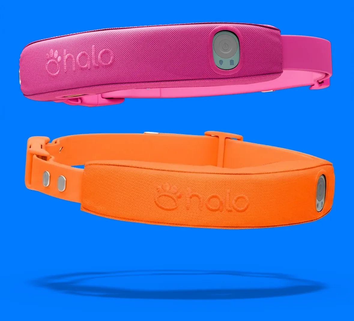Halo Collar 4