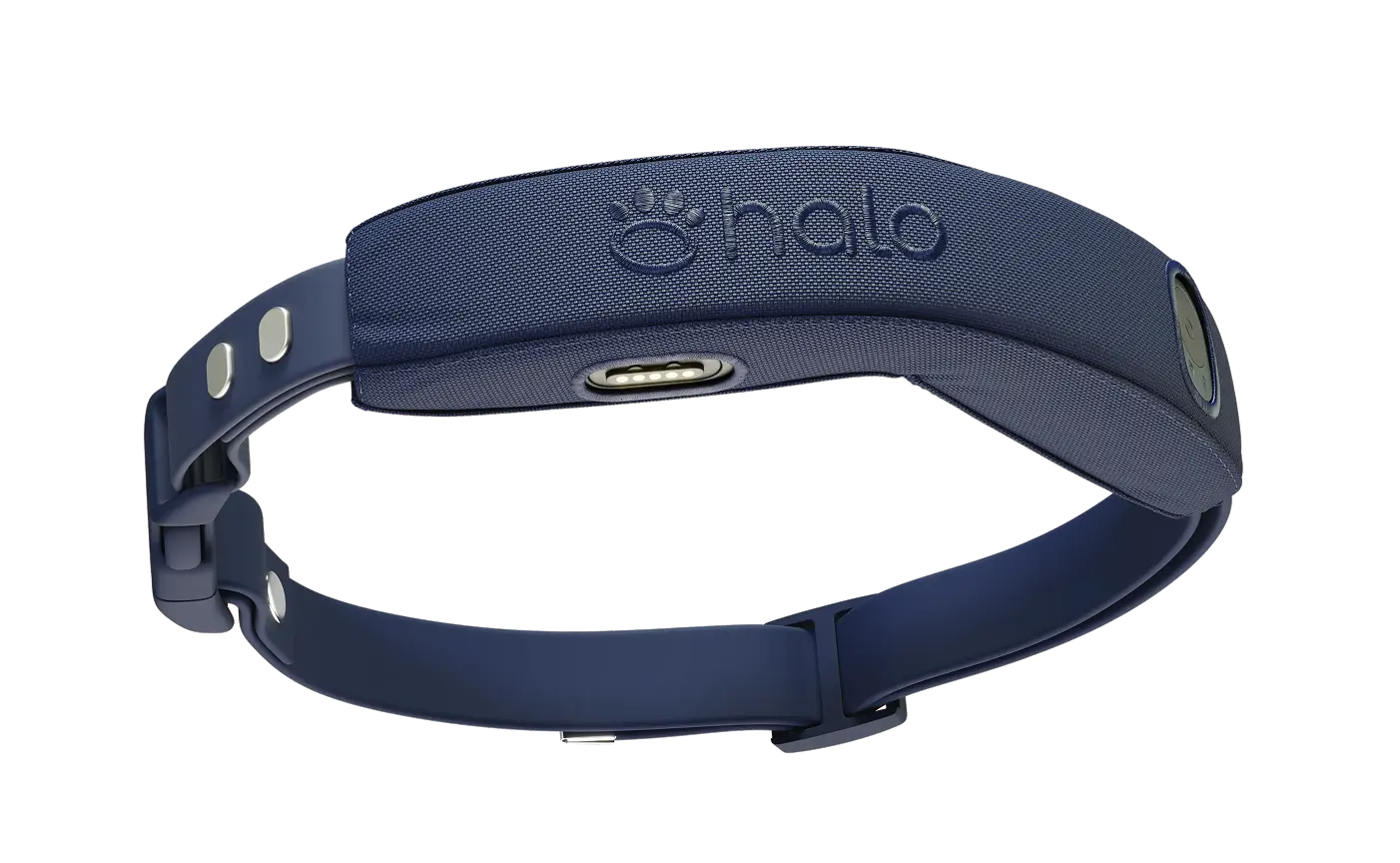 Halo Collar 4