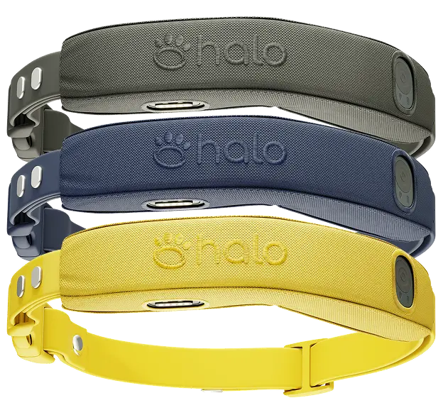 Halo Collar 4 (3-pack)