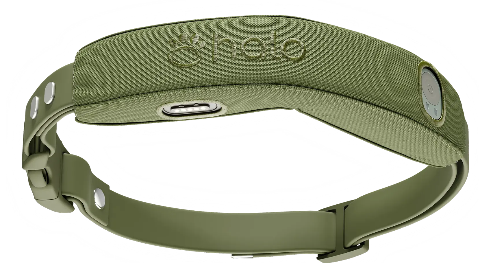 collar in ranger color