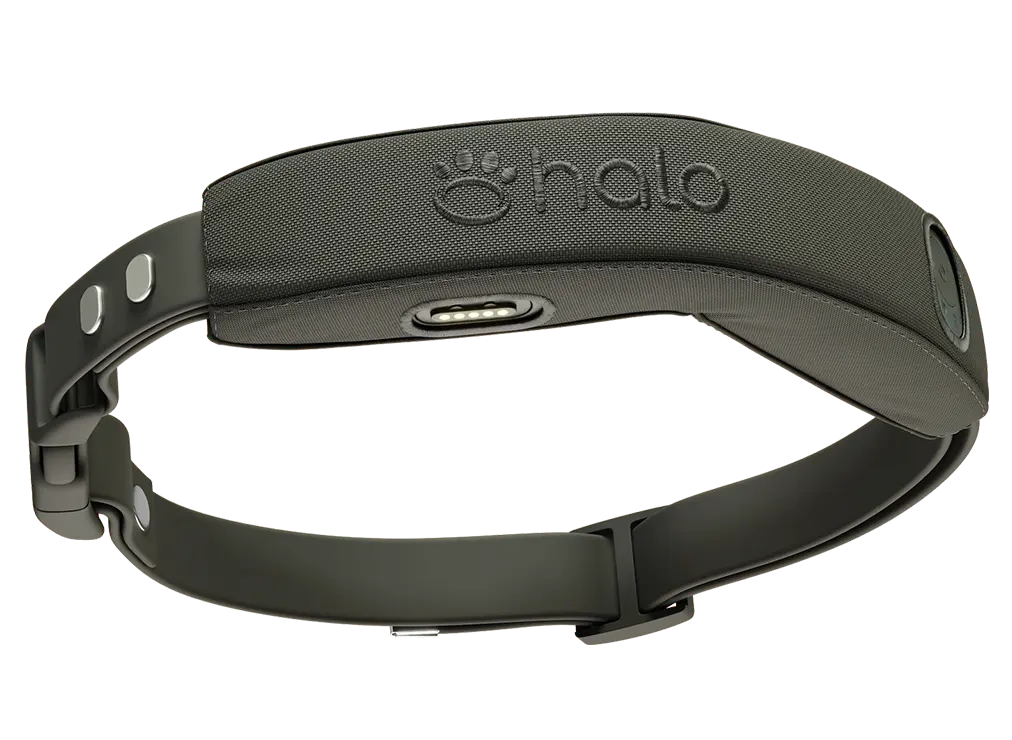 Halo Collar 4