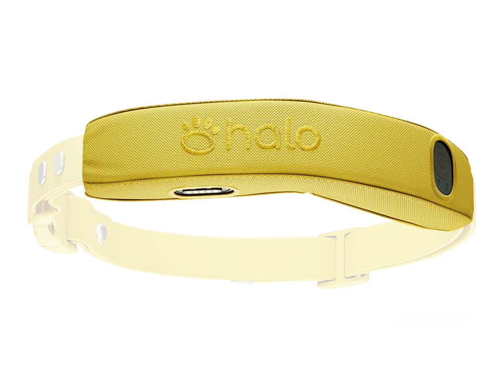 Halo Cesar Millan Pro Case