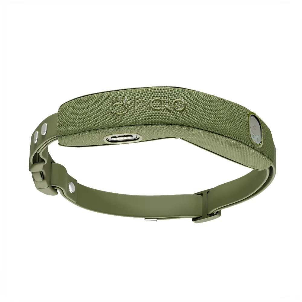 Ranger collar
