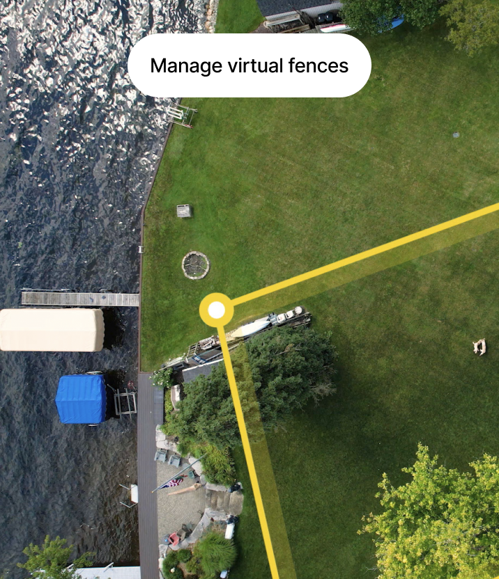 2 dogs wearing Halo collar on a trail