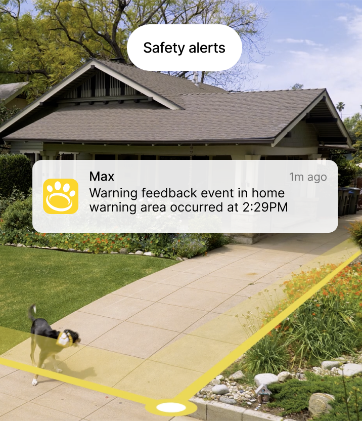 2 dogs wearing Halo collar on a trail