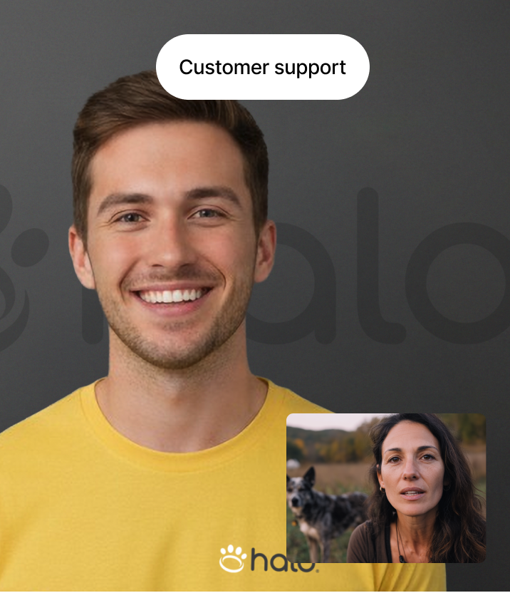 2 dogs wearing Halo collar on a trail