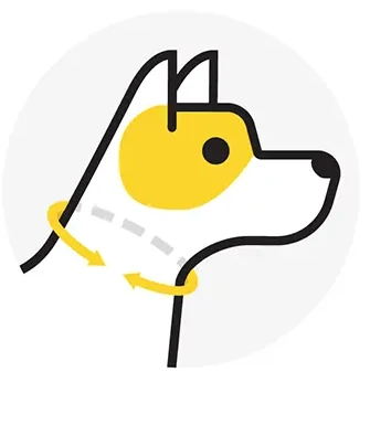 Diagram showing where to measure a dog's neck